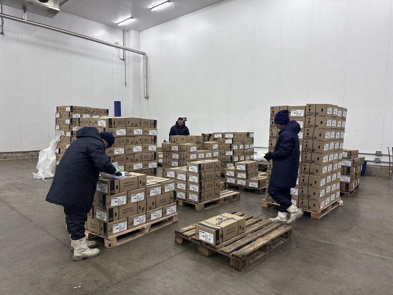 Paletização e unitização de mercadorias