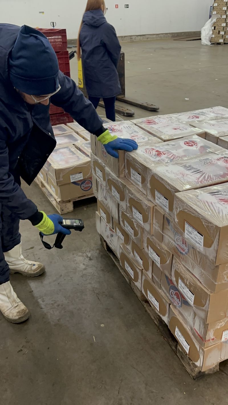 Paletização e unitização de mercadorias